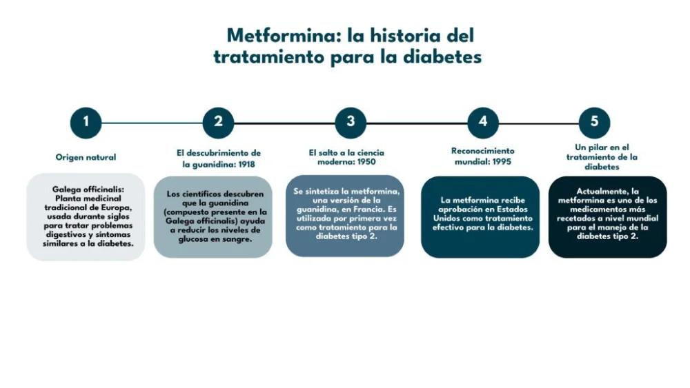 Beneficios y usos sorprendentes de la metformina