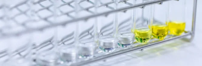 Conoce el Método Bradford: Innovación en Análisis de Proteínas