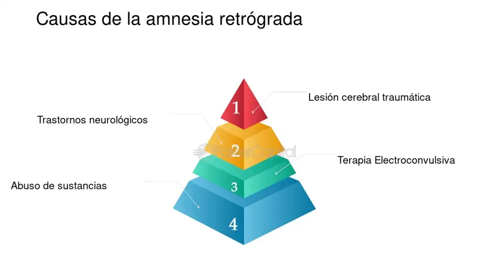 Impacto y causas de la amnesia retrógrada