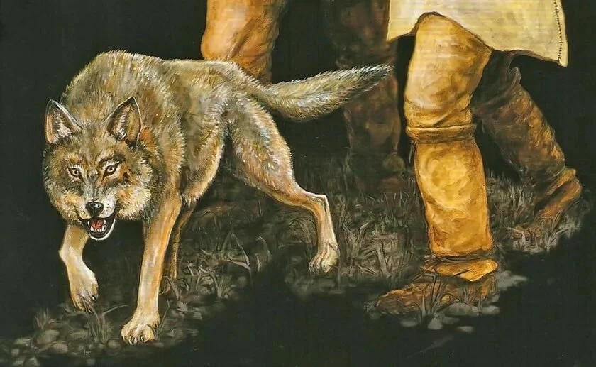 Orígenes prehistóricos de la domesticación canina
