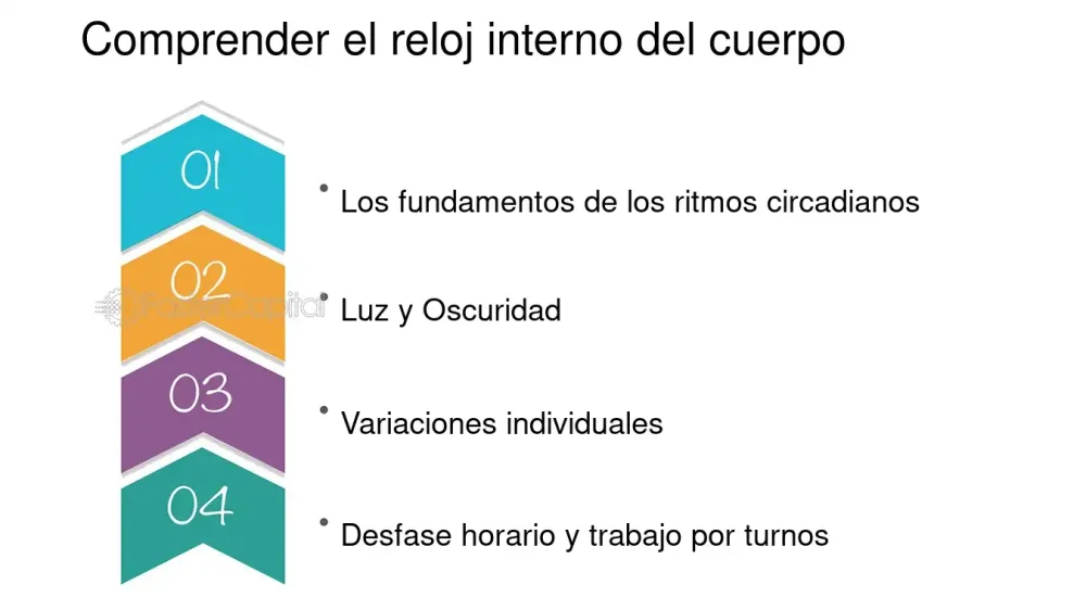 Secretos y magia de los ritmos circadianos