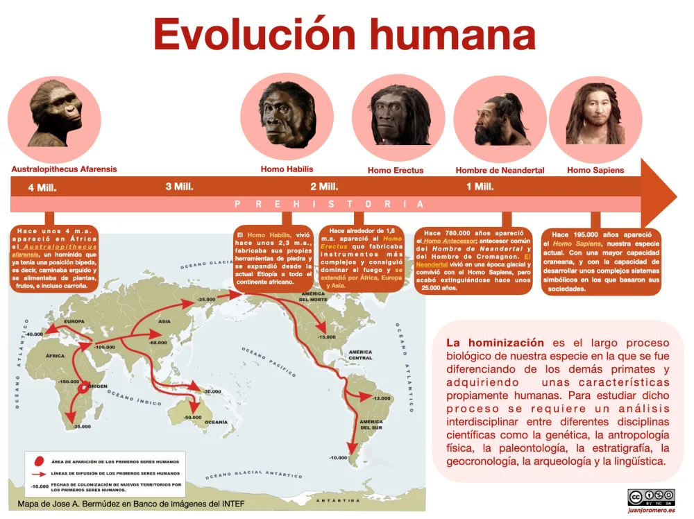 Evolución de la Prehistoria a lo Largo del Tiempo