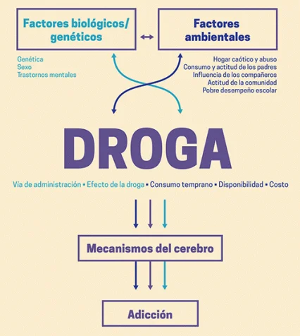 Factores que Contribuyen a la Drogadicción