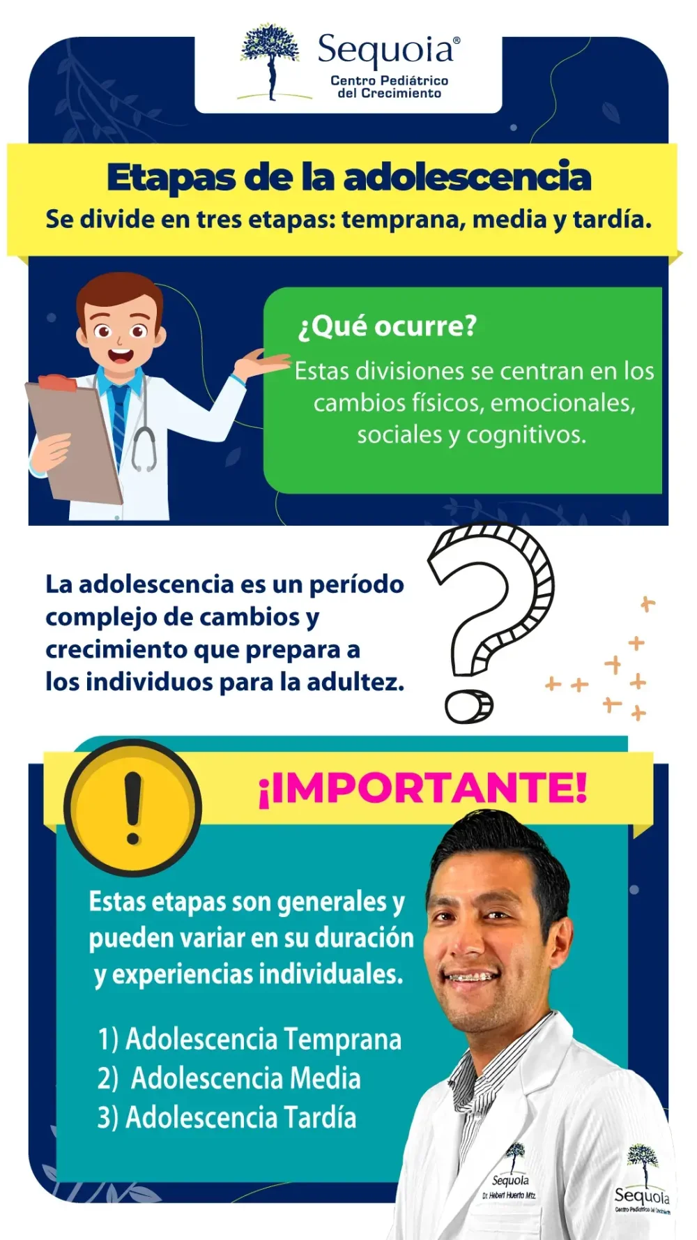 Fases del Desarrollo Adolescente