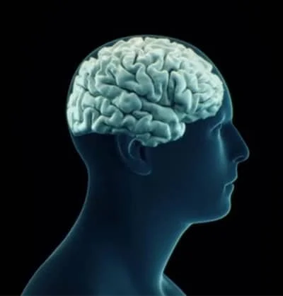 Impacto cerebral de la cosificación sexual en hombres y mujeres
