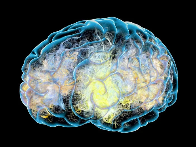 La Dopamina: Clave en la Comunicación Cerebral