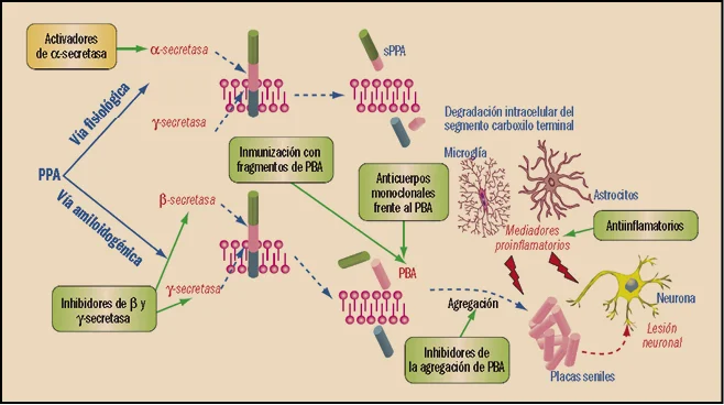 Los sorprendentes beneficios del donepezilo para tu salud
