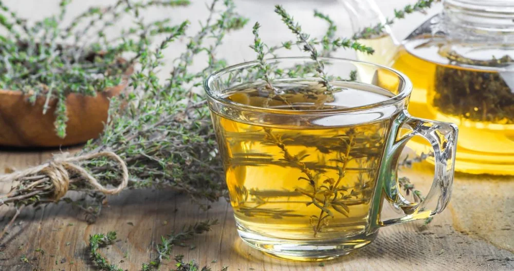 Beneficios y Usos de la Infusión de Tomillo