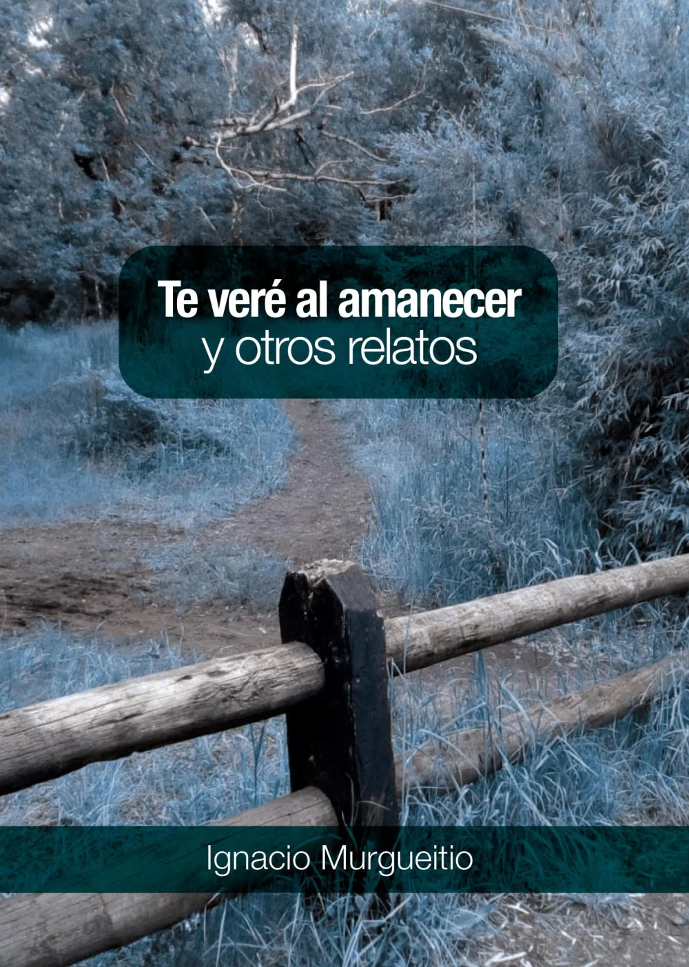Citas Inspiradoras de Miguel de Cervantes: Sabiduría Intemporal