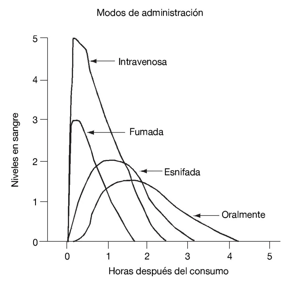Craving y consumo de cocaína: un análisis profundo