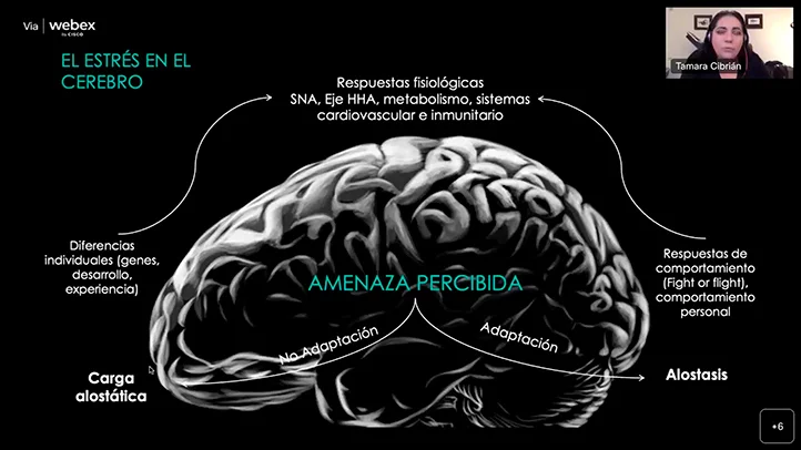 El Impacto de la Triple Pandemia en la Psique Humana