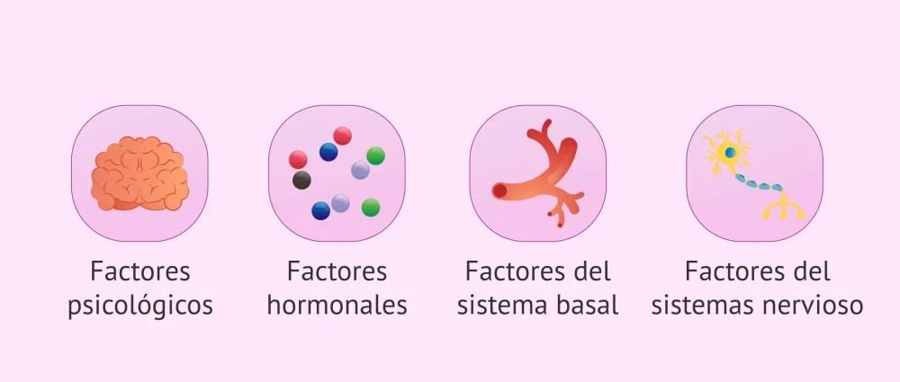 Factores Psicológicos que Provocan Disfunción Eréctil