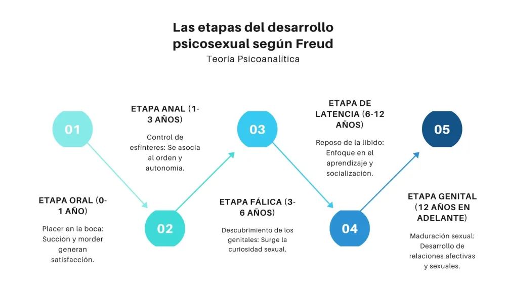 Fases del Desarrollo de la Personalidad