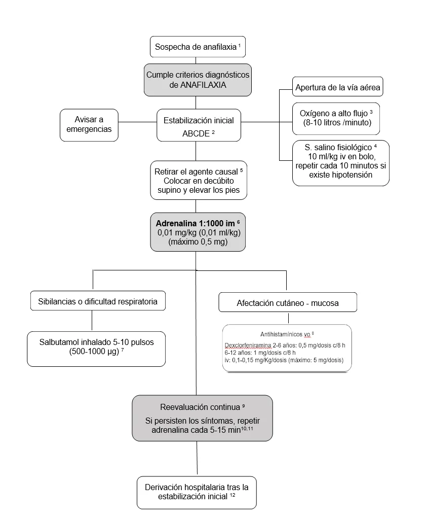 Guía Completa sobre la Anafilaxis: Causas y Tratamientos Clave
