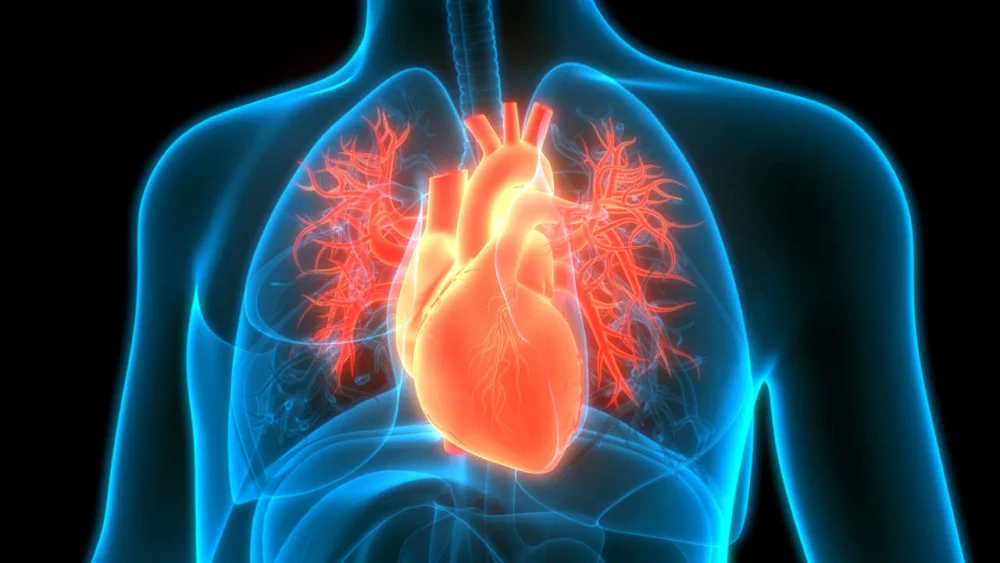 Lo que realmente hiere el corazón humano
