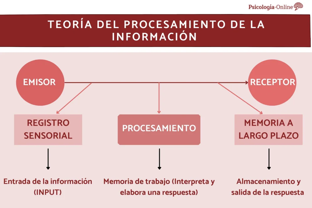 Perspectivas del procesamiento de la información en la teoría