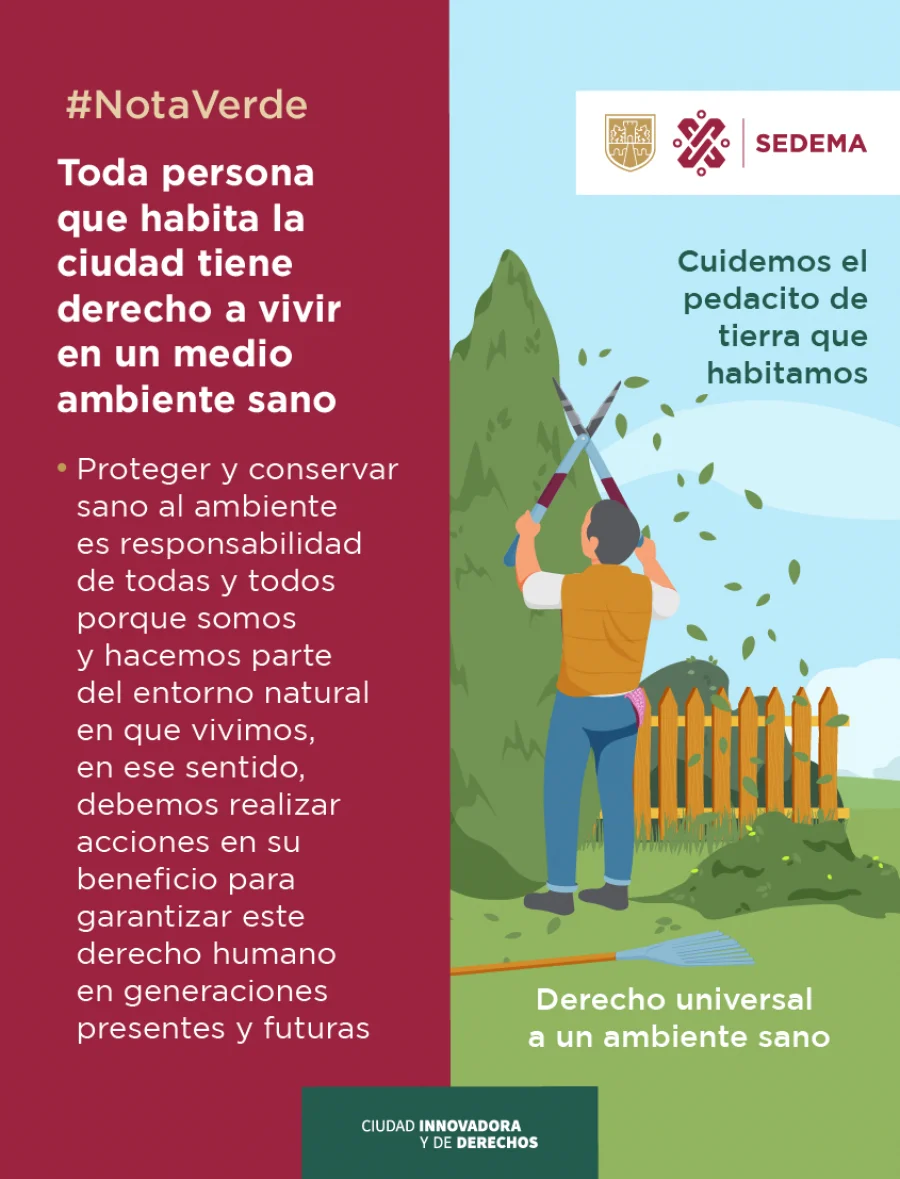 Razones detrás de un hogar contaminado y peligroso