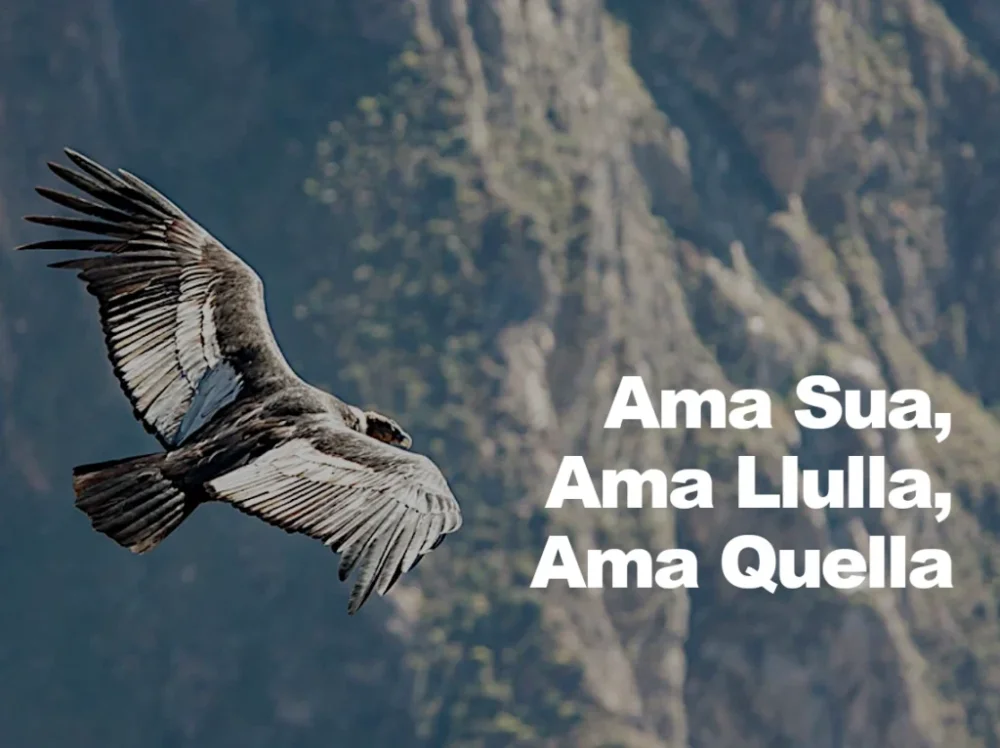 Sabiduría Ancestral: Proverbios de la Cultura Inca