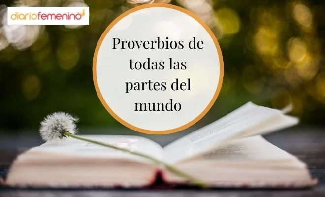 Sabiduría de los Vikingos: Proverbios Poderosos y Ancestrales