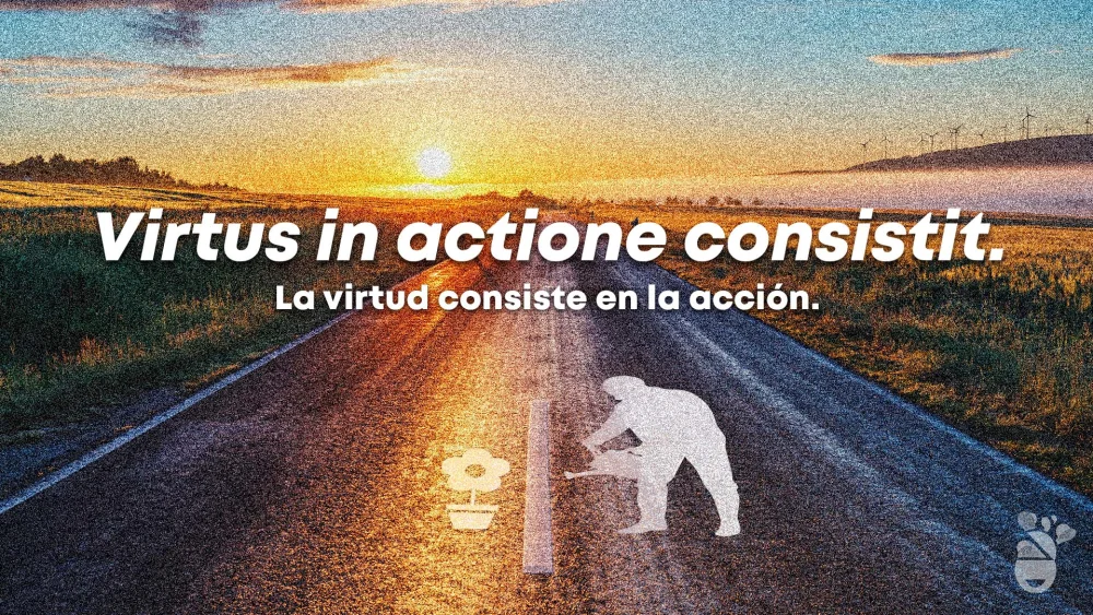 Tesoros de Sabiduría: Proverbios en Latín