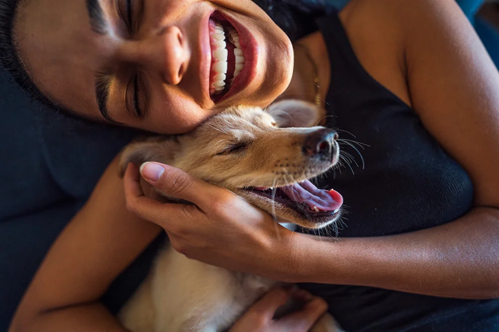 Beneficios de los animales para el bienestar emocional