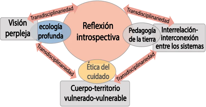 Desvelando el Androcentrismo: Una Perspectiva Crítica y Reflexiva