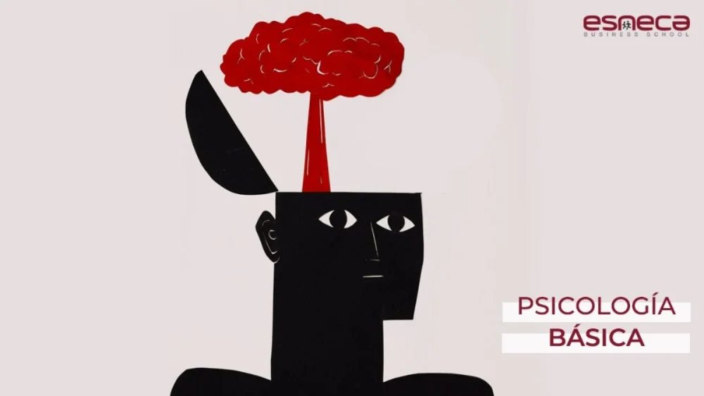Fundamentos Esenciales de la Psicología Básica