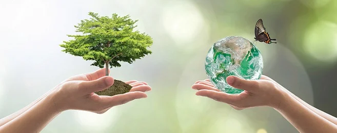 Impacto de la Psicología Ambiental en la Vida Diaria