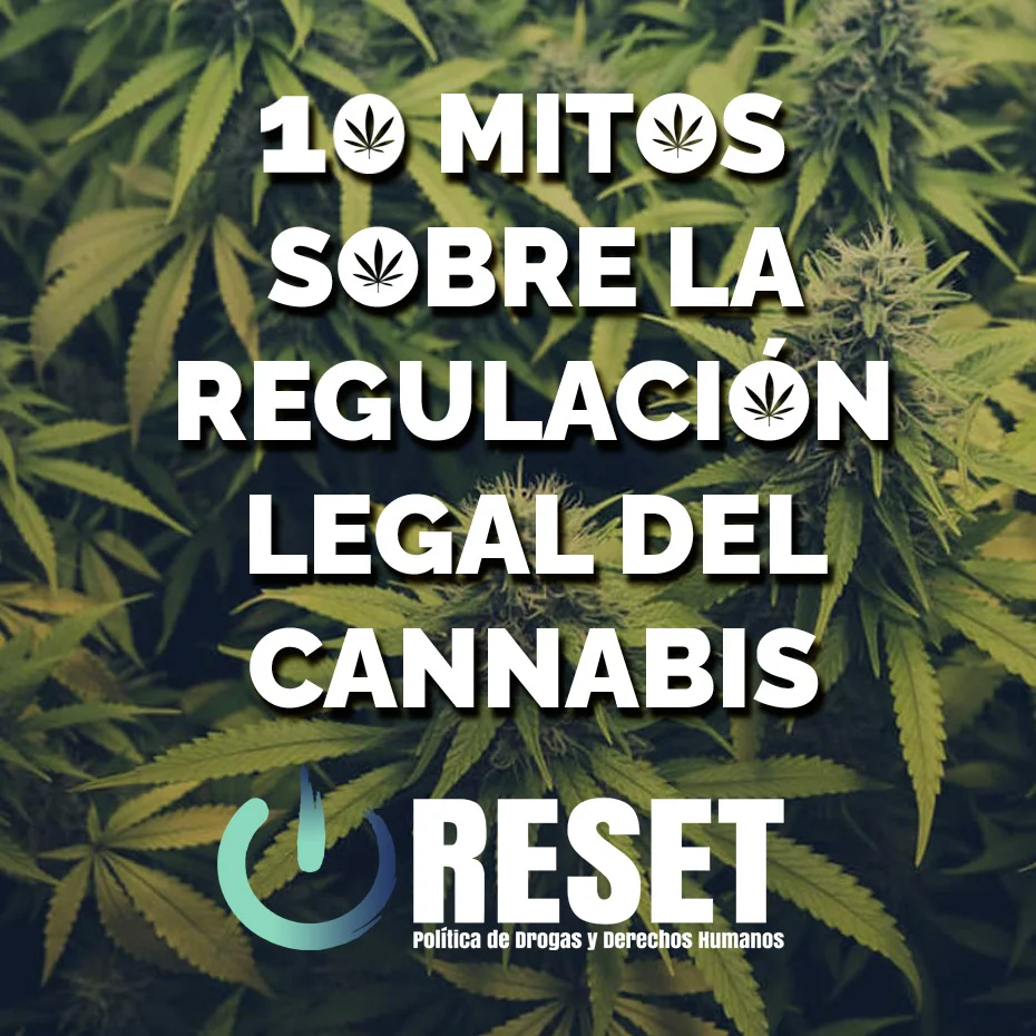 Mitos Comunes sobre el Consumo de Marihuana