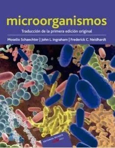 Profundiza el fascinante mundo del microquimerismo