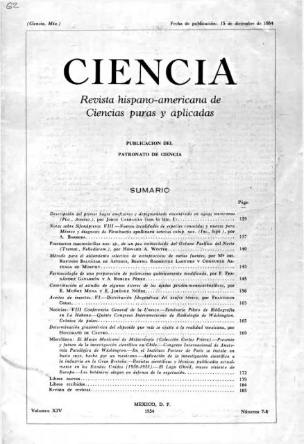Profundiza en el mundo de las células Renshaw