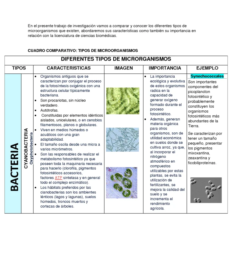 Secretos de las Células Procariotas: Un Vistazo Fascinante