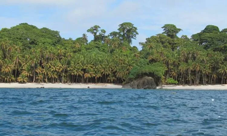 Secretos y maravillas de Ínsula: un mundo por descubrir