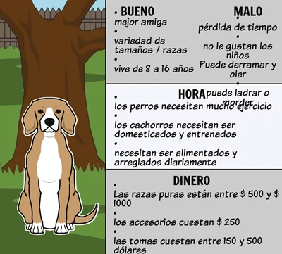 Animales cometen errores al elegir entre múltiples opciones