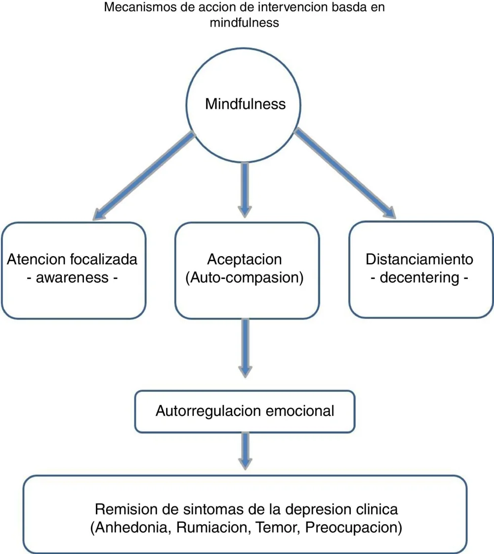 Beneficios del mindfulness demostrados por evidencia científica