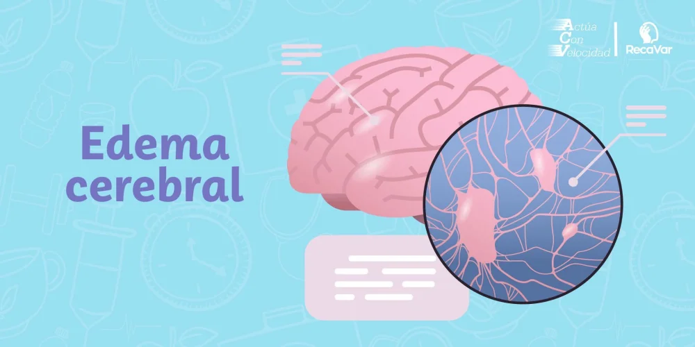 Causas y tratamiento del edema cerebral