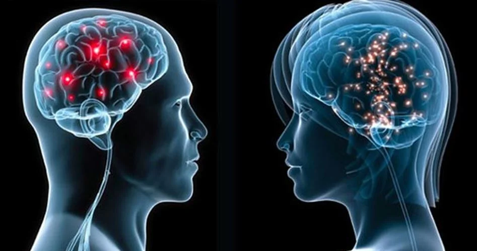 Cerebro femenino supera en actividad al masculino