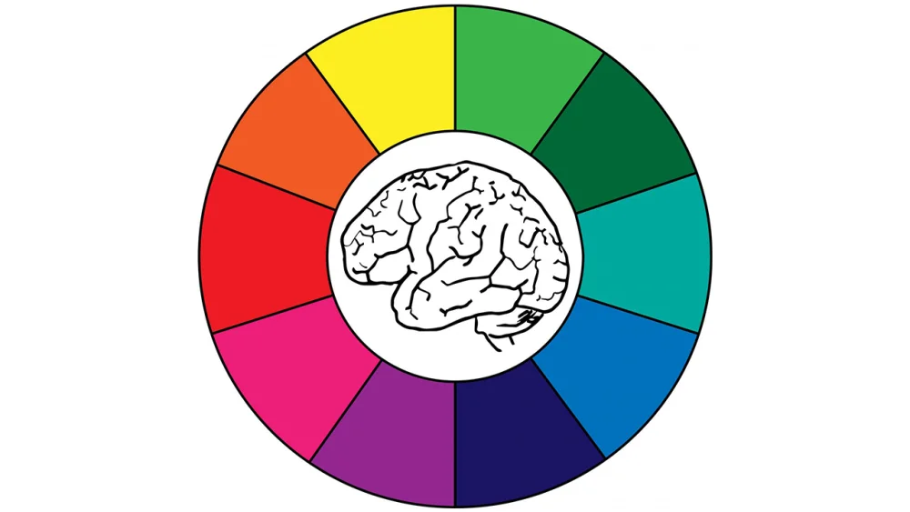 Colores: Cómo los Percibimos y Entendemos