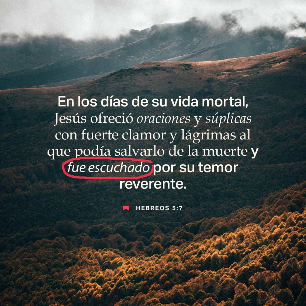 Comprendiendo el temor a la muerte