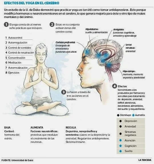 Impacto del Yoga en la Armonía Mental