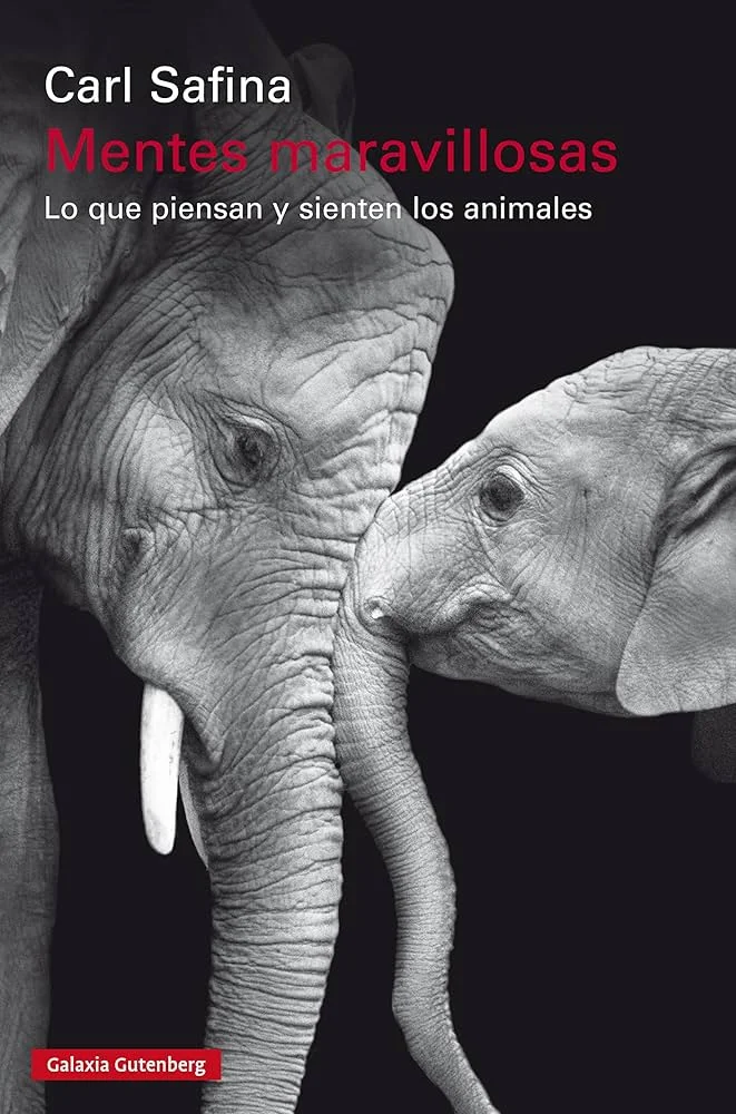 La Asombrosa Mente de los Elefantes