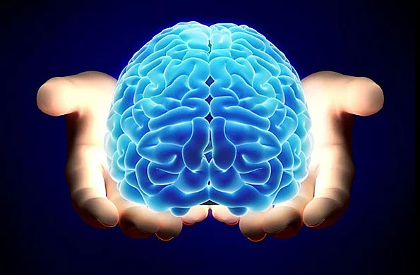 La verdad oculta del funcionamiento del cerebro humano