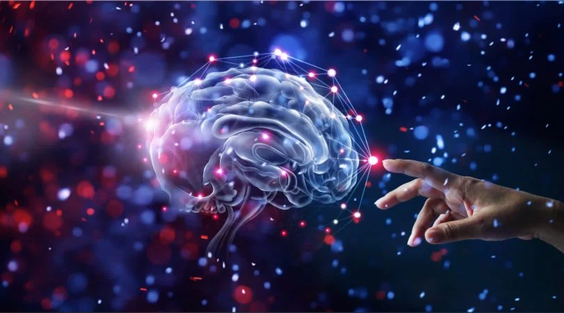 Los Misterios del Cerebro Humano a Profundidad