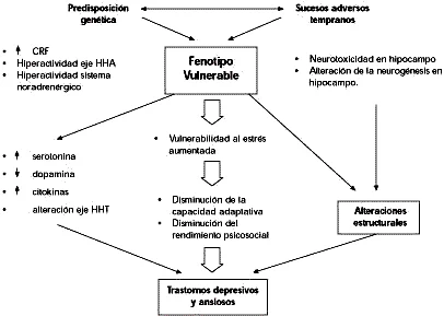 Nuevas Perspectivas Biológicas sobre la Ansiedad