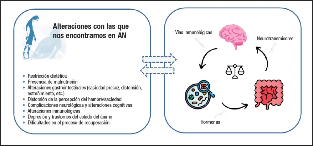 Origen Genético de la Anorexia y Bulimia