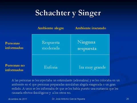 Profundiza en las Teorías sobre la Ansiedad