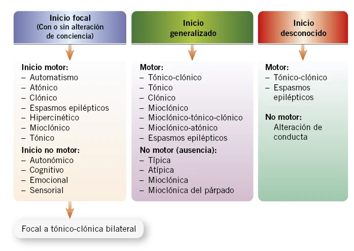 Profundización en la crisis psicógena: causas y soluciones