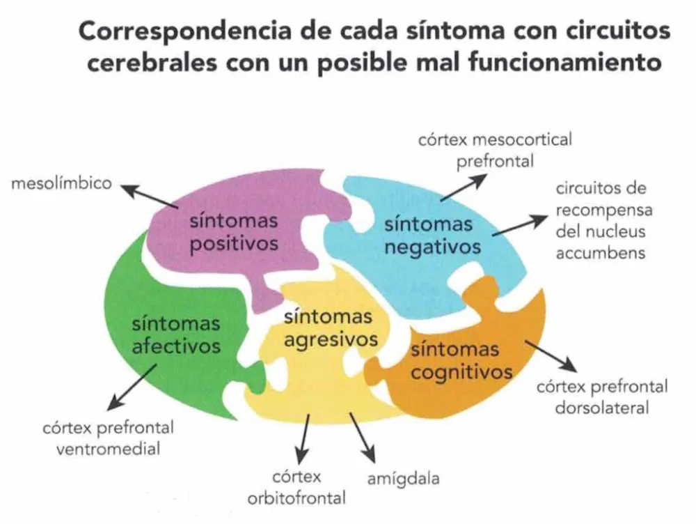 Progreso de la esquizofrenia a lo largo del tiempo