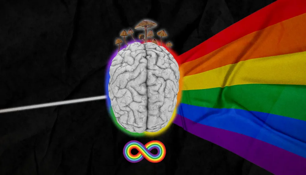 Rasgos Únicos del Cerebro en Personas Bisexuales
