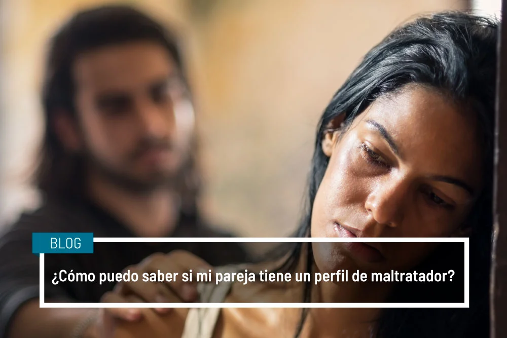 Análisis del Perfil del Maltratador en la Violencia de Género